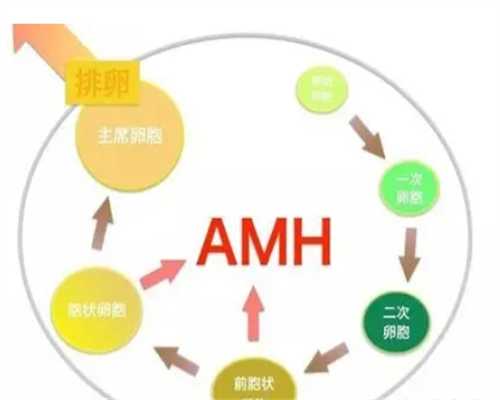 少精症：少精症怎么恢复生精功能~试管代生网